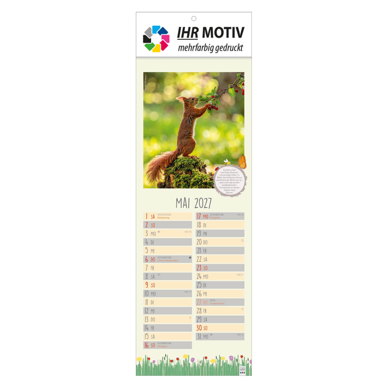 /customers_pics/593/artikel/1112115307/Naturnah_2027_Ihr Motiv_138-2027_IhreWerbung-a_5.jpg